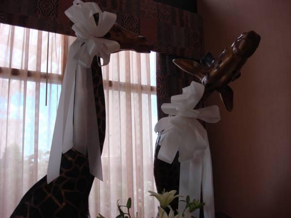 Holiday Inn Quincy By Ihg Esterno foto